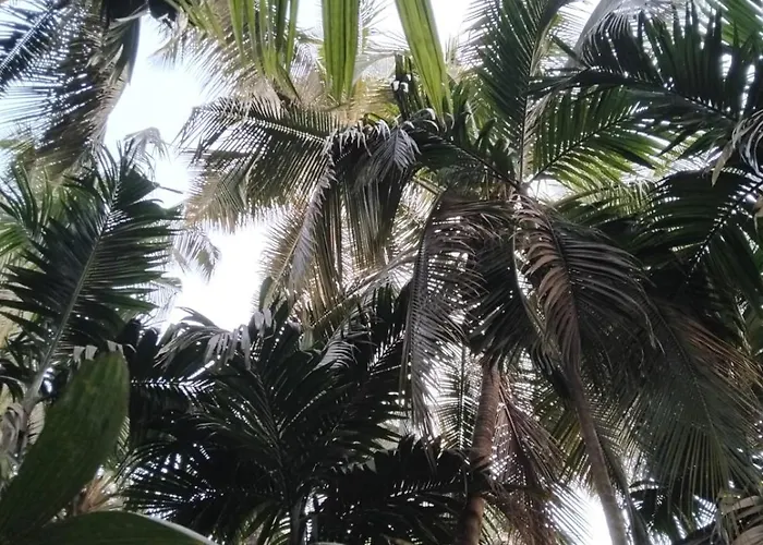 Vaibhav Naik Madhuli Cottage
